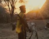 For the Sake of Peace